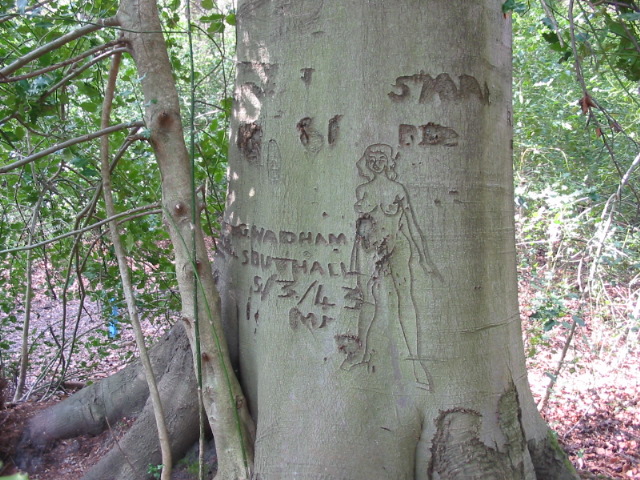Canon PowerShot A40 作例