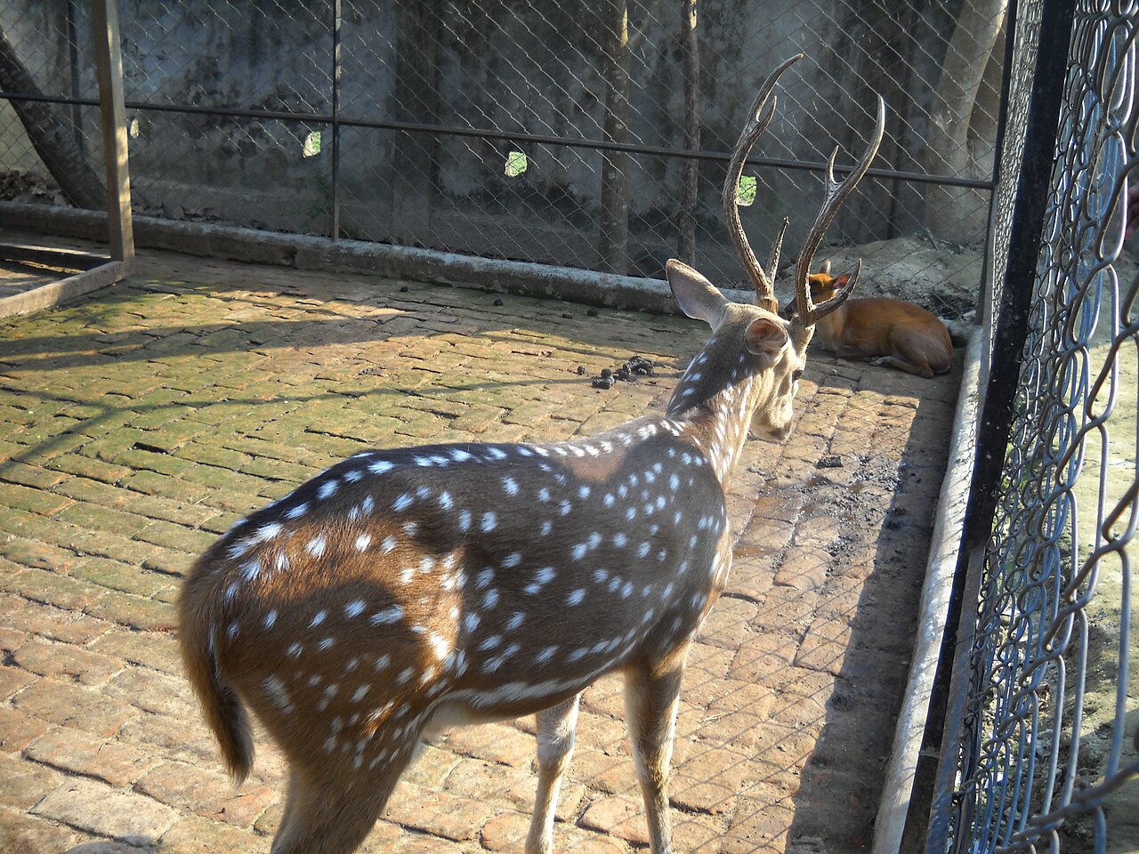 Nikon Coolpix L20 作例