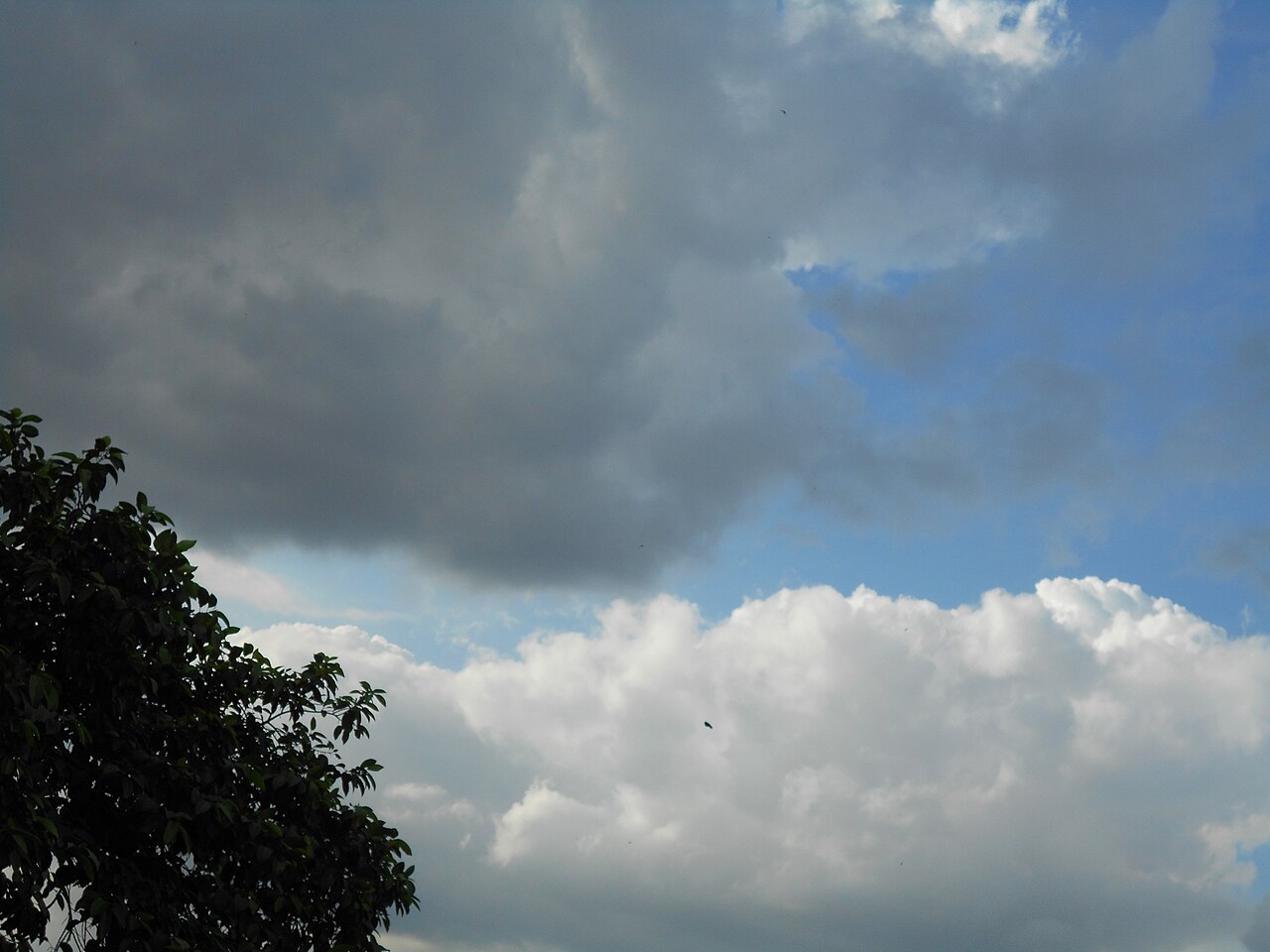Nikon Coolpix S2900 作例