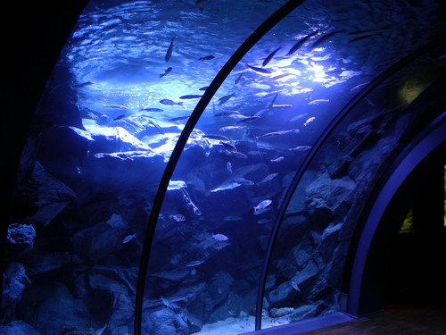 Nikon Coolpix S4 作例