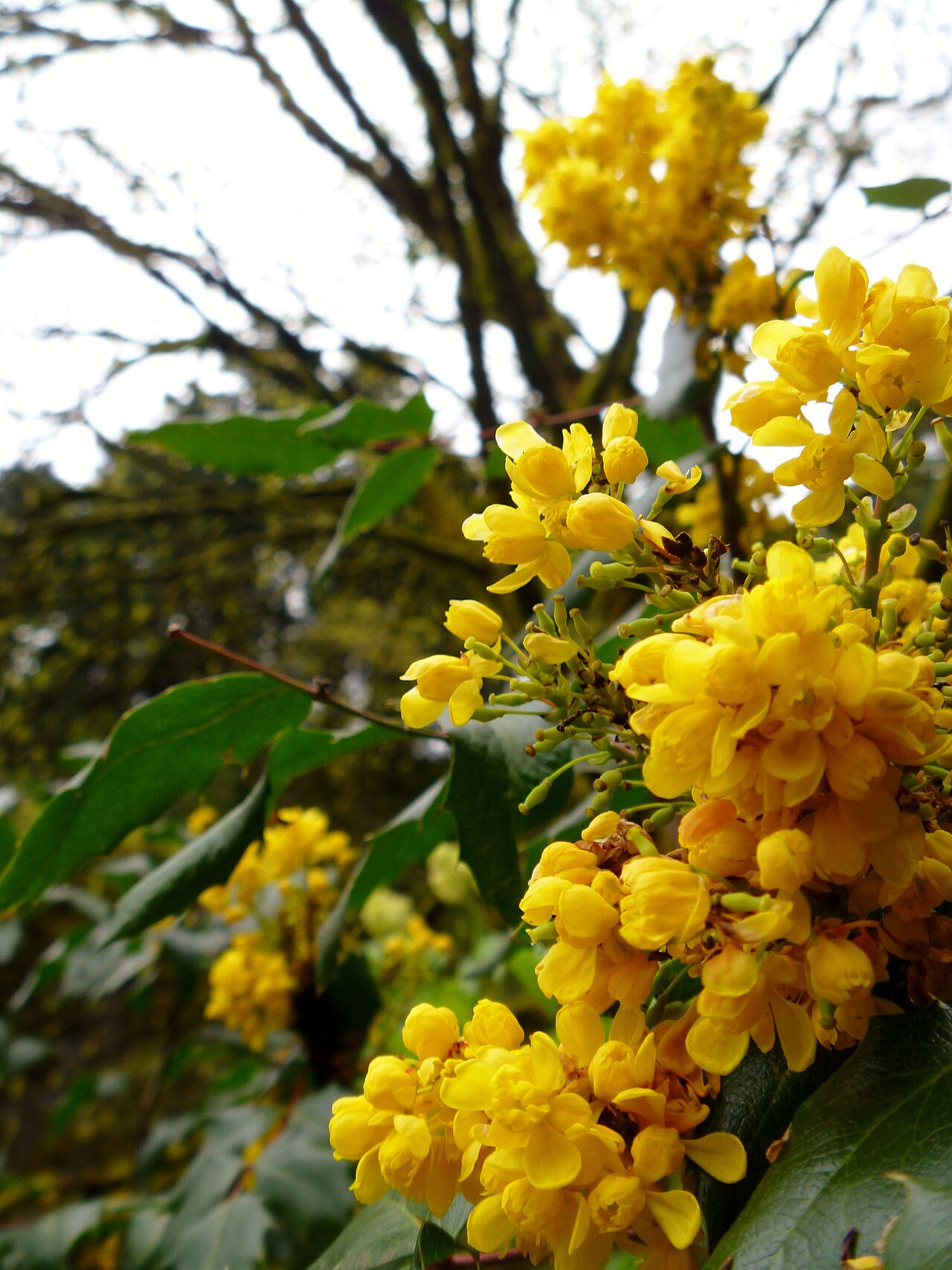 Panasonic LUMIX DMC-FP3 作例