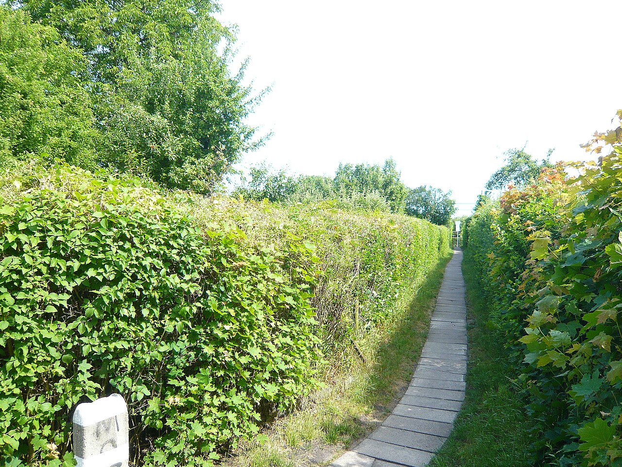 Panasonic LUMIX DMC-FX30 作例