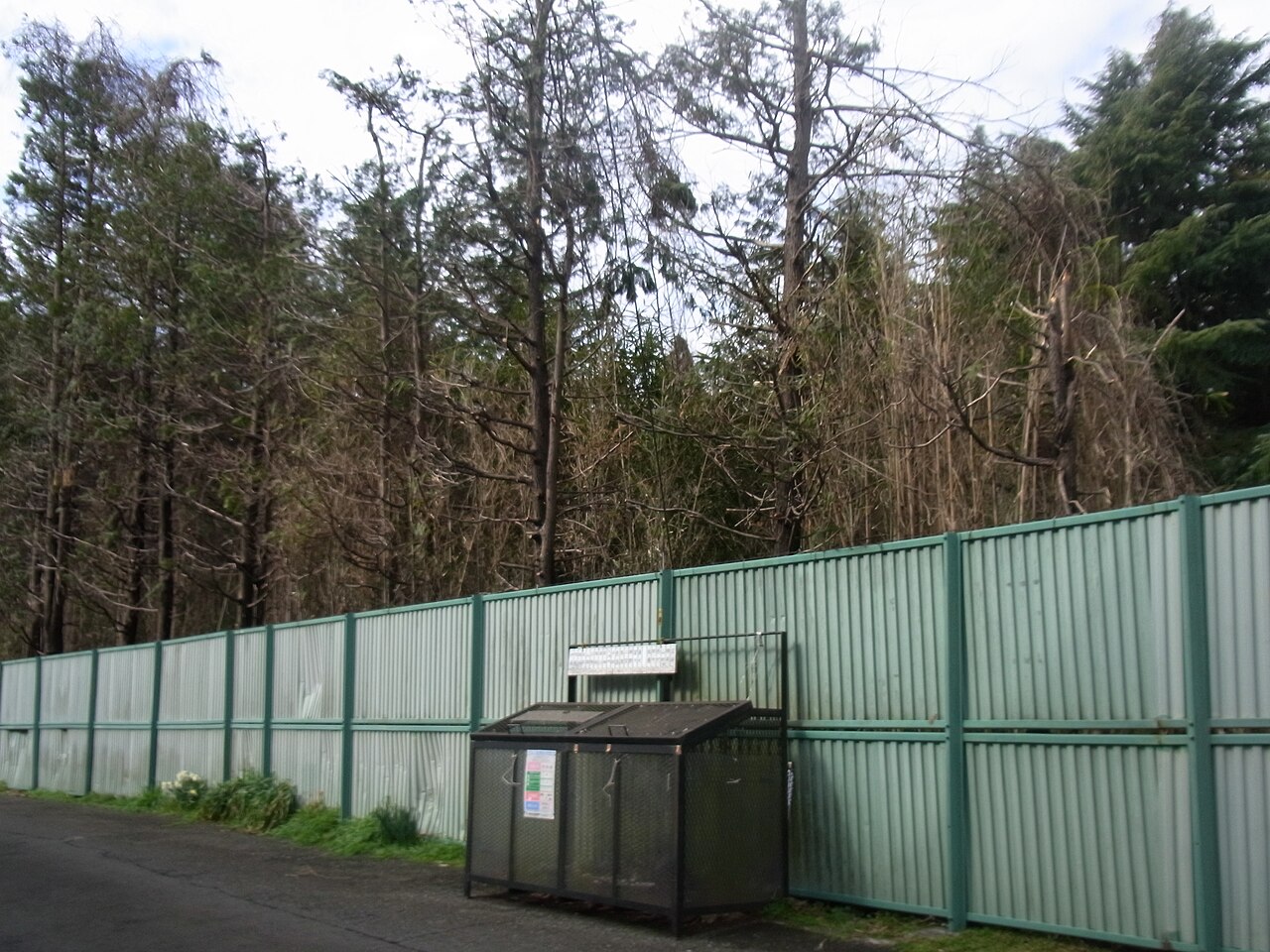 RICOH CX2 作例