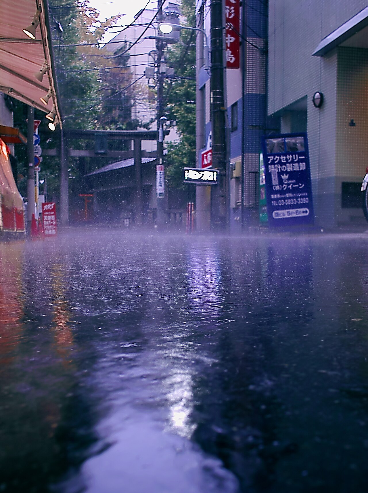 SIGMA DP1x 作例