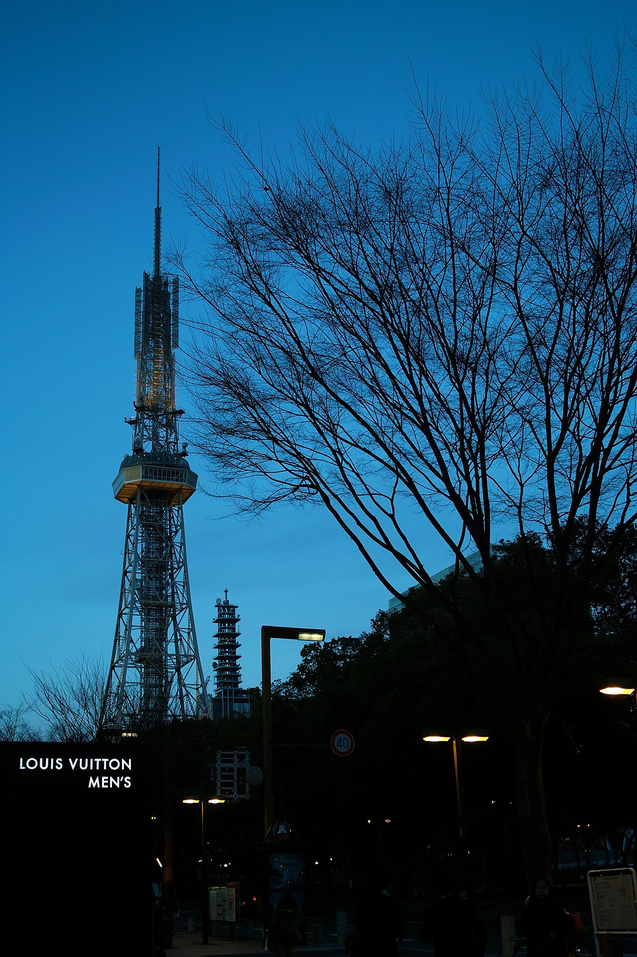 SIGMA DP2s 作例