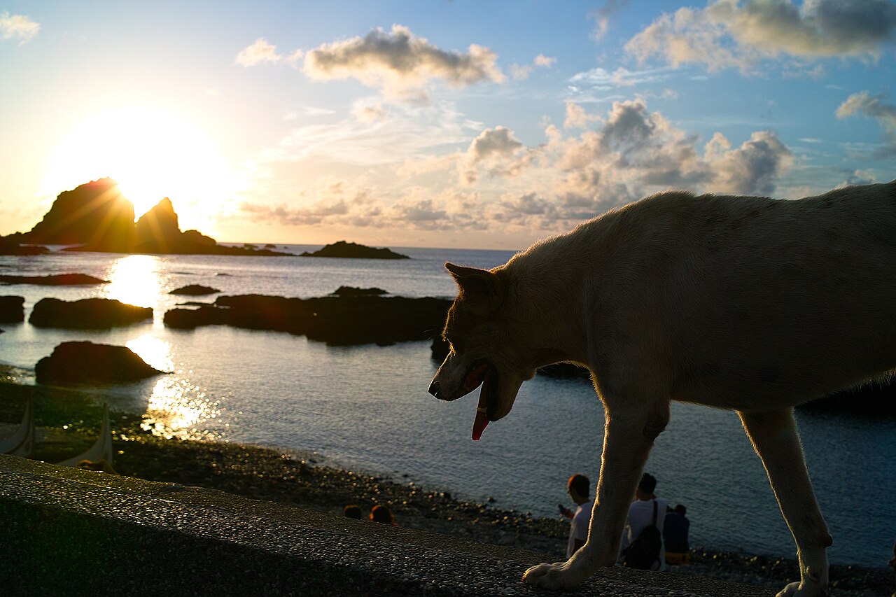 SIGMA DP2x 作例