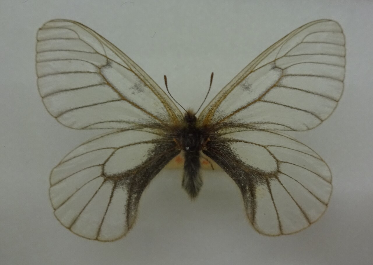 Sony Cyber-shot DSC-WX220 作例