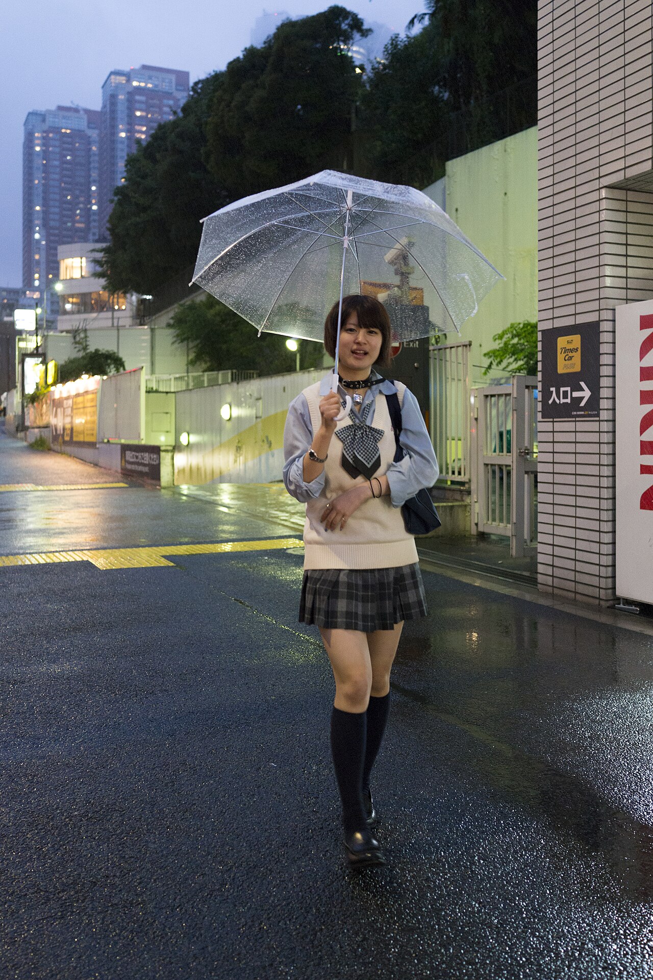Sony RX1 作例
